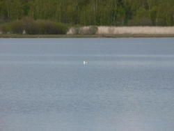 p1010283s.jpg