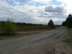 p1010310s.jpg