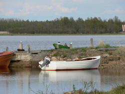 p1010329s.jpg