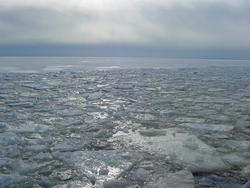 dsc05362.jpg