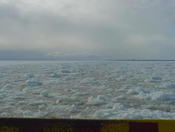 dsc05364.jpg