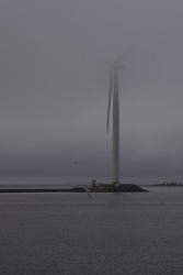 ID4Y4545.jpg