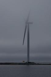 ID4Y4546.jpg