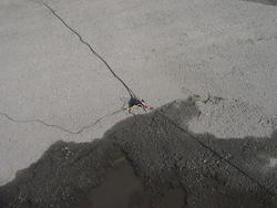 dscn3999.jpg